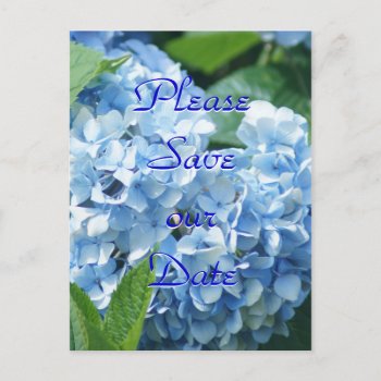 Blue Hydrangeas Save Our Date Postcard- Customize Invitation Postcard by MakaraPhotos at Zazzle