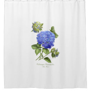 Blue Hydrangea Shower Curtains Zazzle