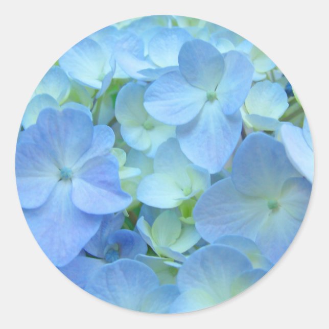 Blue Hydrangeas stickers seals Flowers Floral (Front)