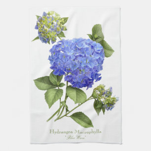 Blue Hydrangeas Towel