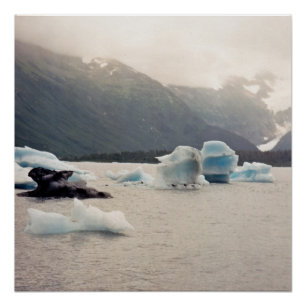 Blue Ice Poster