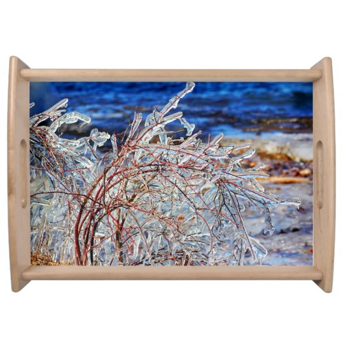 Blue Icy Branches Lake Champlain Photo Serving Tray