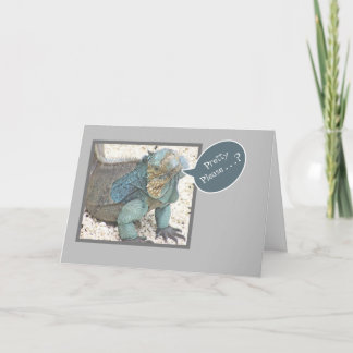 BLUE IGUANA/HEAD TILTED/"PRETTY PLEASE?/GET WELL S CARD