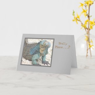 BLUE IGUANA/HEAD TILTED/