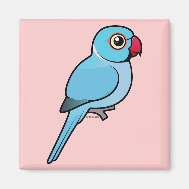 Blue Indian Ringneck Magnet (Front)