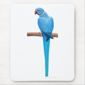Blue Indian Ringneck Parrakeet Mousepad