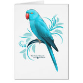 Blue Indian Ringneck Parrot (Front)