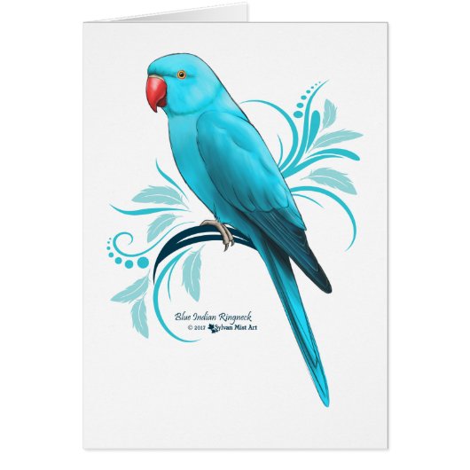 Blue Indian Ringneck Parrot (Front)