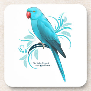 Blue Indian Ringneck Parrot Beverage Coaster