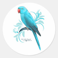 Blue Indian Ringneck Parrot