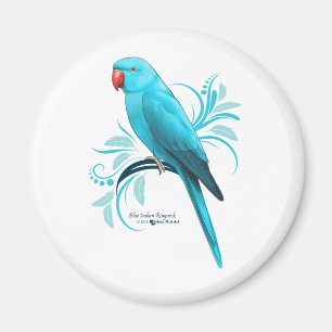 Blue Indian Ringneck Parrot Magnet