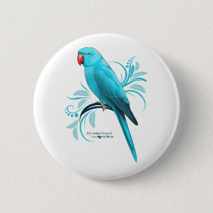 Blue Indian Ringneck Parrot Pinback Button