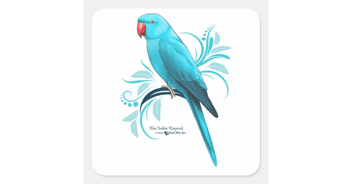 Blue Indian Ringneck Parrot Square Sticker | Zazzle
