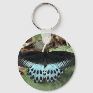 Blue Iridescent Mormon Butterfly Keychain