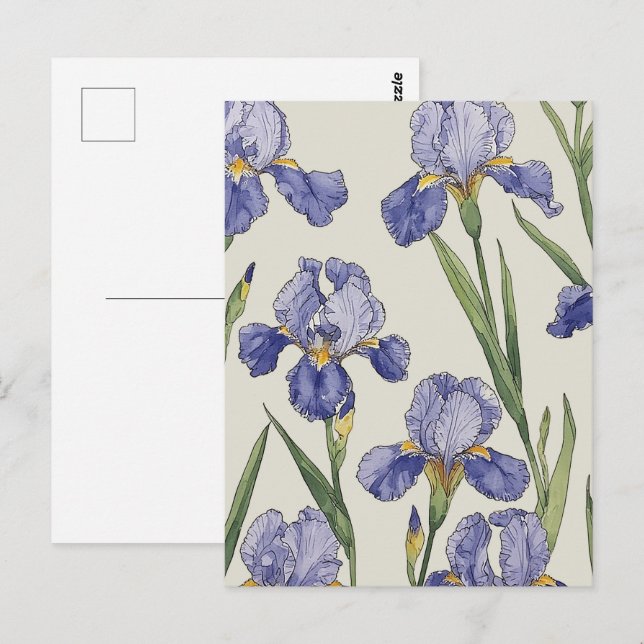Blue Iris Blossoms Postcard (Front/Back)