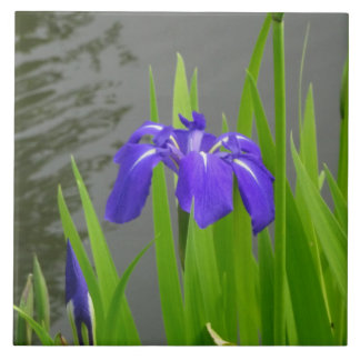Blue Iris Ceramic Tile