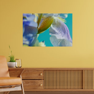 Blue iris colorful abstract nature photography Poster