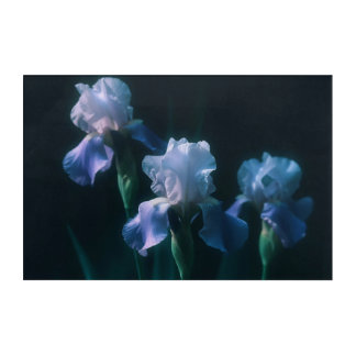Blue Iris Floral Wall Art Poster