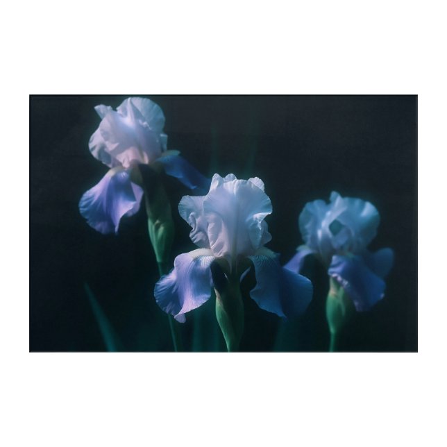 Blue Iris Floral Wall Art Poster (Front)