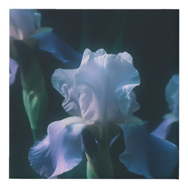 Blue Iris Floral Wall Art Poster (Front)