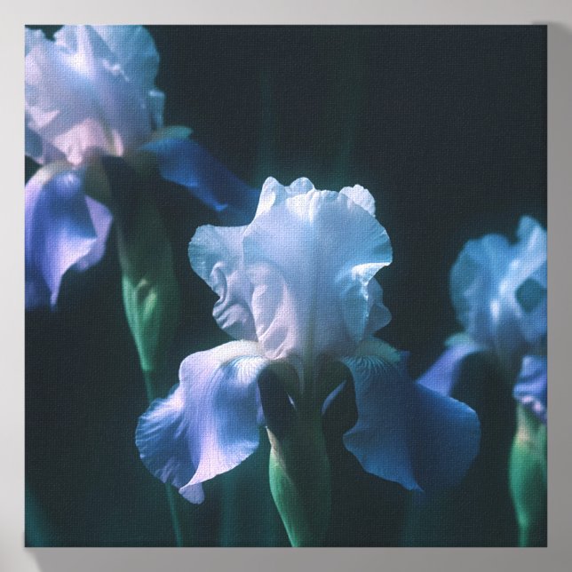 Blue Iris Floral Wall Art Poster Canvas Photo Tile (Front Set)