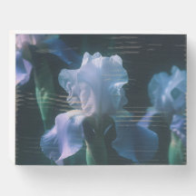Blue Iris Floral Wall Art Poster