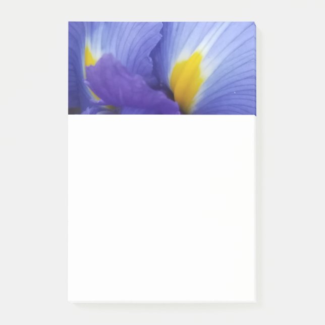 Blue Iris Flower 4x6 Notes (Front)