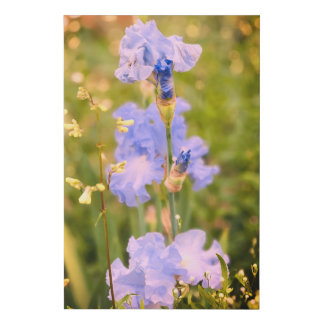 Blue iris flower faux canvas print