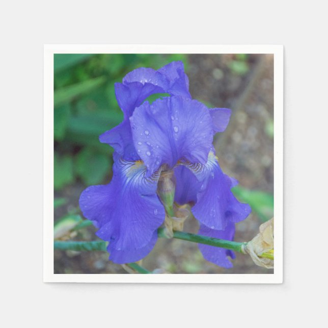 Blue iris flower paper napkins (Front)