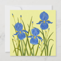 Blue Iris Flowers Flat Card