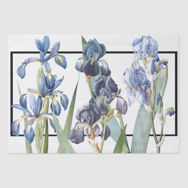Blue Iris Flowers Redoute Floral Tissue Paper (Front)