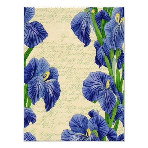 Blue iris flowers vintage ephemera pattern photo print