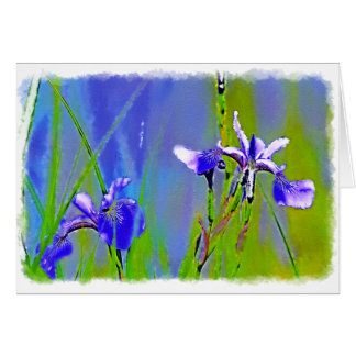 Blue Iris Garden Flowers Florists Designer Art Cards