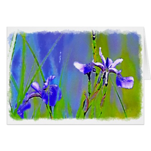 Blue Iris Garden Flowers Florists Designer Art Cards (Front Horizontal)