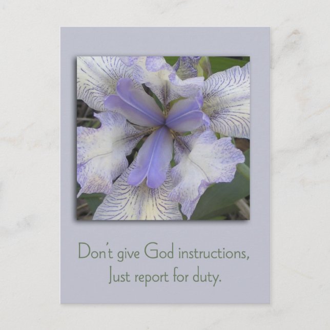 Blue Iris Inspirational Postcard (Front)