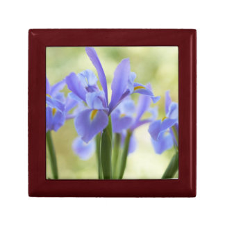 Blue Iris Jewelry Box