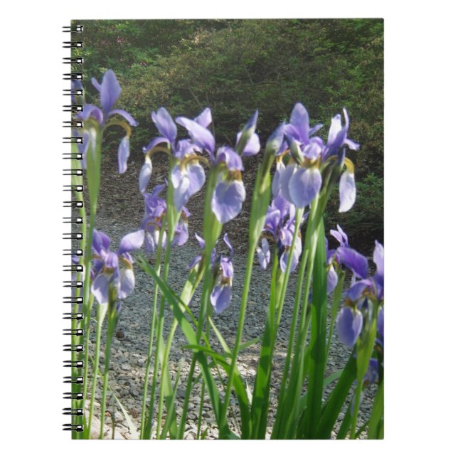 Blue Iris Notebook (Front)