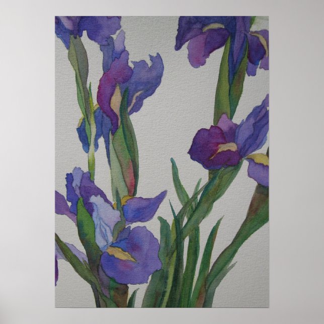Blue Iris Poster (Front)