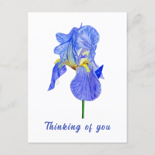 Blue Iris Thinking of You Postcard