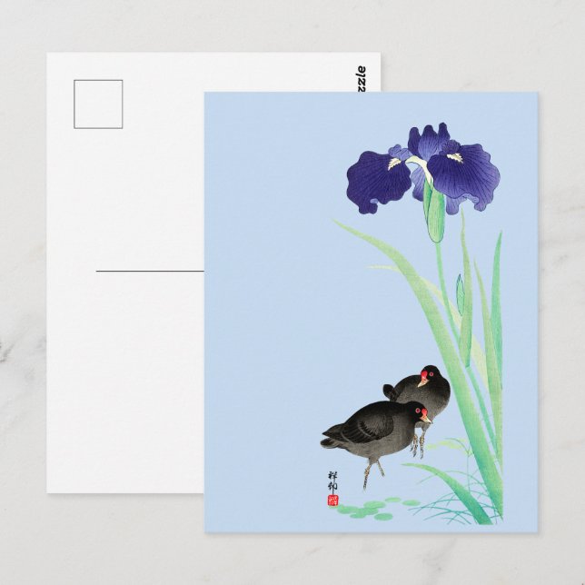 Blue Irises and Moorhens by Ohara Koson Postcard (Front/Back)