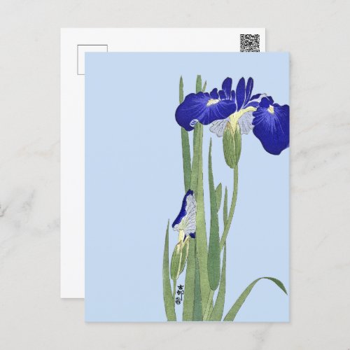 Blue Irises by Ohara Koson Postcard