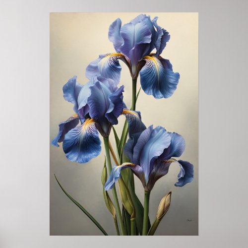 Blue Irises Flower Art Print Poster