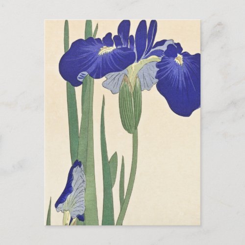 Blue Irises Painting by Ohara Koson Postcard