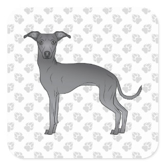 Blue Italian Greyhound Cute Cartoon Dog With Paws Square Sticker