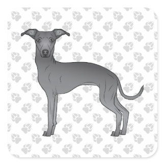 Blue Italian Greyhound Cute Cartoon Dog With Paws Square Sticker
