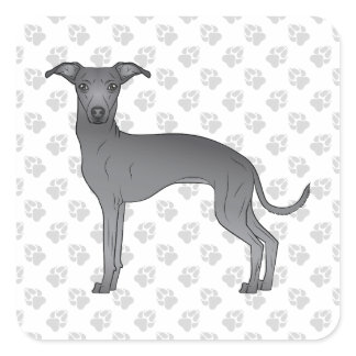 Blue Italian Greyhound Cute Cartoon Dog With Paws Square Sticker