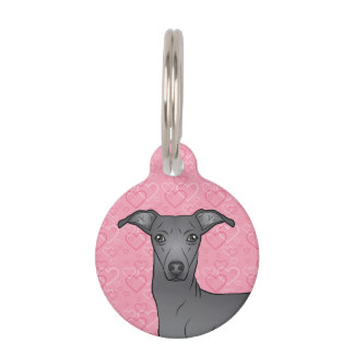 Blue Italian Greyhound Cute Dog Head Pink Hearts Pet ID Tag