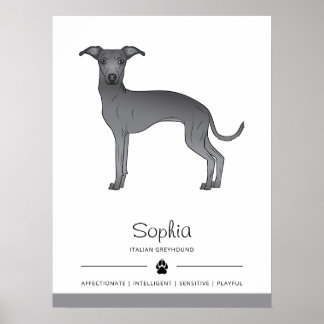 Blue Italian Greyhound Cute Dog With Custom Text Poster