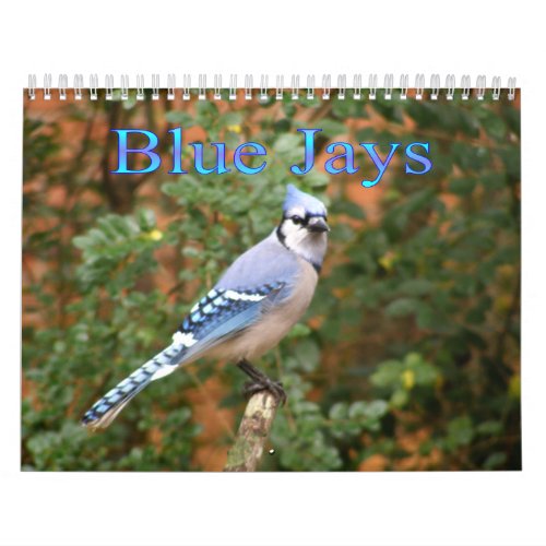Blue Jay 12 Month Calendar