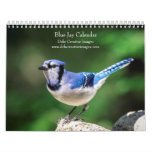 Blue Jay 2024 Calendar at Zazzle